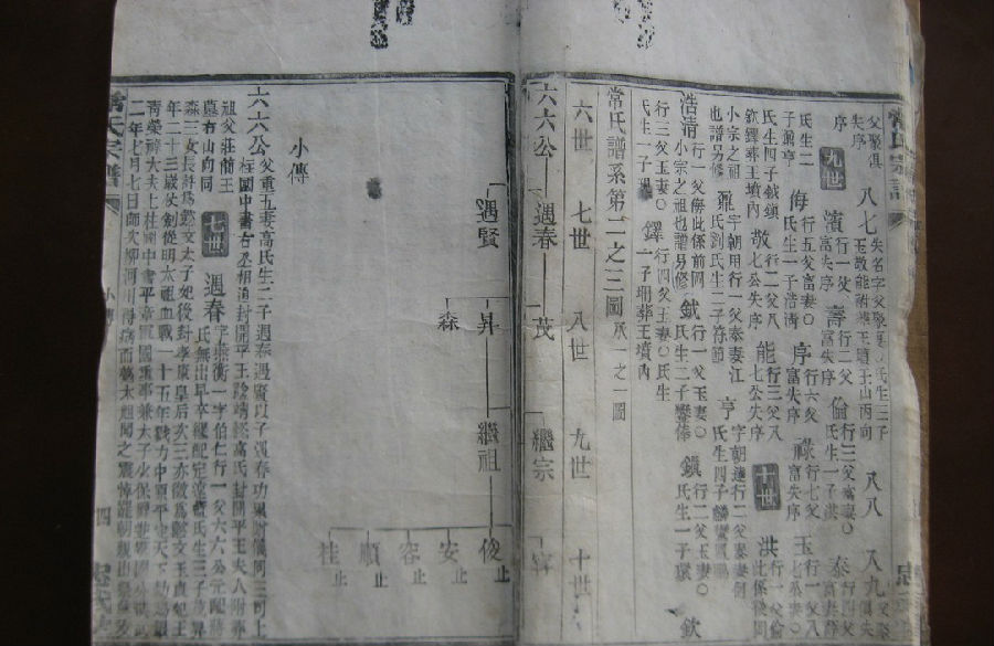 常氏家谱后记 - 族谱学 - 微家族